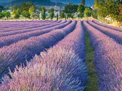 Krásy Provence a jižní Francie